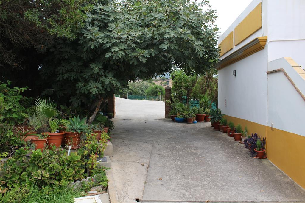 Apartamentos Bolonia Paraiso Экстерьер фото